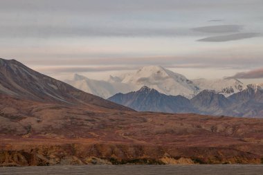 Denali Ulusal Parkı Alaska 'da manzaralı bir sonbahar manzarası