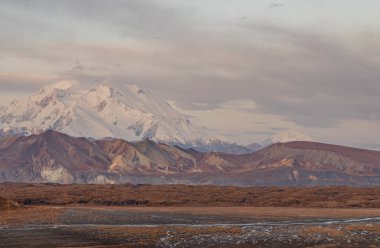 Denali Ulusal Parkı Alaska 'da manzaralı bir sonbahar manzarası