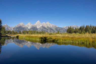 Grand Teton Ulusal Parkı Wyoming 'de sonbahar manzarası yansıması.