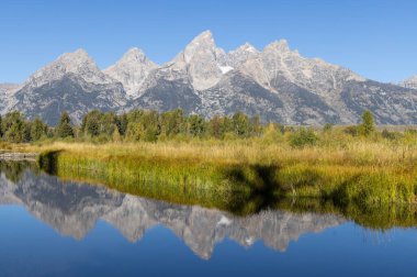 Grand Teton Ulusal Parkı Wyoming 'de sonbahar manzarası yansıması.