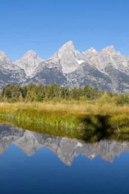 Grand Teton Ulusal Parkı Wyoming 'de sonbahar manzarası yansıması.