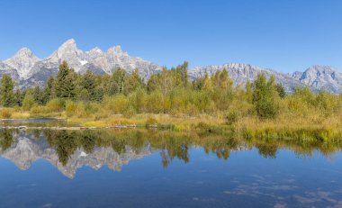 Grand Teton Ulusal Parkı Wyoming 'de sonbahar manzarası yansıması.