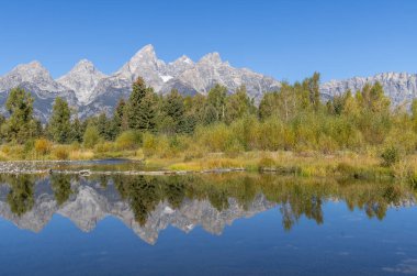 Grand Teton Ulusal Parkı Wyoming 'de sonbahar manzarası yansıması.