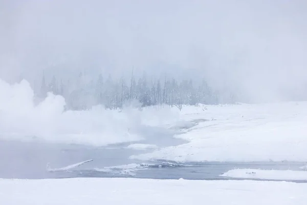 Paesaggio Innevato Panoramico Nel Parco Nazionale Yellowstone Wyoming Inverno — Foto Stock
