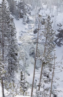 Yellowstone Ulusal Parkı Wyoming 'de kışın manzaralı bir kar manzarası.
