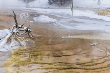 Yellowstone Ulusal Parkı Wyoming 'de manzaralı bir kış manzarası.