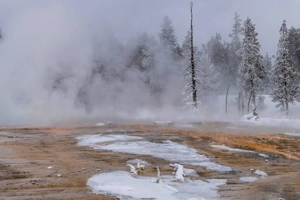 Scenic Winter Landscape Yellowstone National Park Wyoming — Foto de Stock