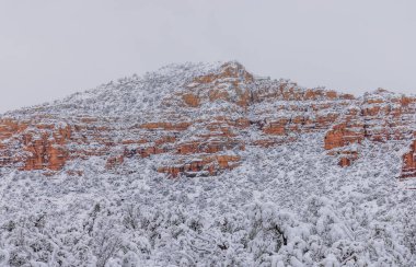 Sedona Arizona 'da kış manzarası karla kaplıydı.
