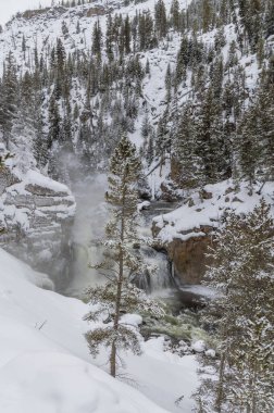 Yellowstone Ulusal Parkı Wyoming 'deki Firehole Nehri manzarası