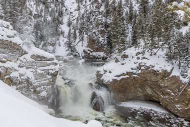 Yellowstone Ulusal Parkı Wyoming 'deki Firehole Nehri manzarası