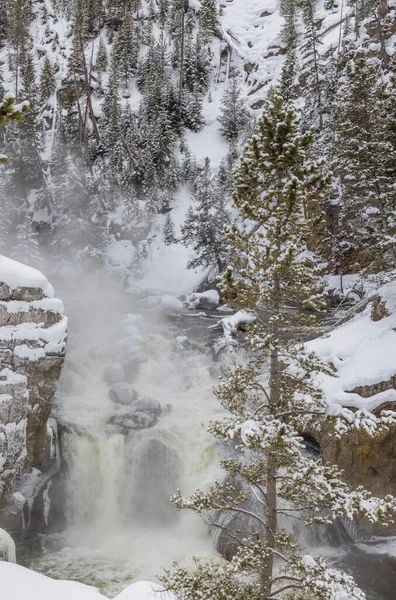 Yellowstone Ulusal Parkı Wyoming 'deki Firehole Nehri manzarası