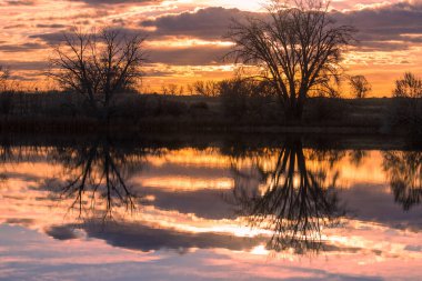 Göldeki Günbatımı ve Ağaçların Güzel Yansıması