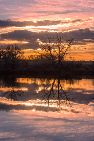 Reflexão Bonita Pôr Sol Árvores Uma Lagoa — Fotografia de Stock