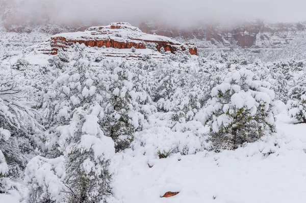 Starker Schneefall Schafft Malerische Winterlandschaft Sedona Arizona — Stockfoto