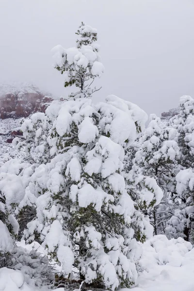 Neve Pesante Crea Paesaggio Invernale Panoramico Sedona Arizona — Foto Stock