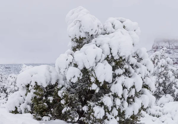 Silný Sníh Vytváří Malebnou Zimní Krajinu Sedona Arizona — Stock fotografie