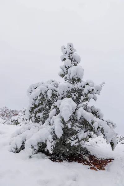 Heavy Snow Creates Scenic Winter Landscape Sedona Arizona — Stock Photo, Image