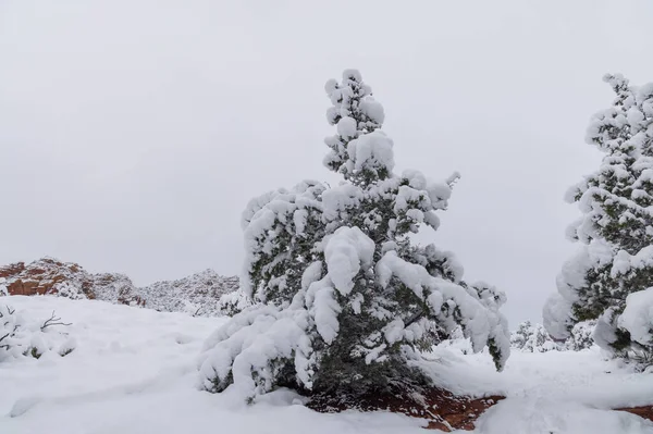 亚利桑那州塞多纳的大雪造就了一个美丽的冬季风景 — 图库照片