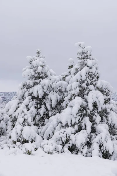 Nieve Pesada Crea Paisaje Invernal Escénico Sedona Arizona —  Fotos de Stock