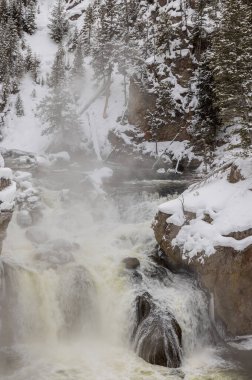 Yellowstone Ulusal Parkı Wyoming 'deki Firehole Nehri üzerinde manzaralı bir kış manzarası.