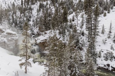 Yellowstone Ulusal Parkı Wyoming 'deki Firehole Nehri üzerinde manzaralı bir kış manzarası.