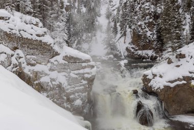 Yellowstone Ulusal Parkı Wyoming 'deki Firehole Nehri üzerinde manzaralı bir kış manzarası.