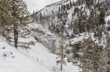Yellowstone Ulusal Parkı Wyoming 'deki Firehole Nehri üzerinde manzaralı bir kış manzarası.