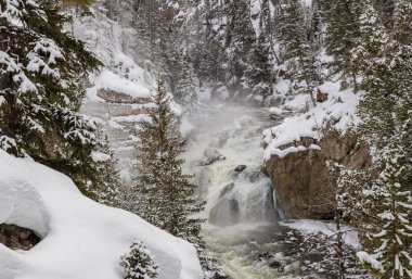 Yellowstone Ulusal Parkı Wyoming 'deki Firehole Nehri üzerinde manzaralı bir kış manzarası.