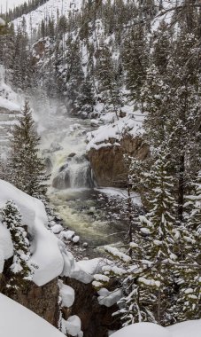 Yellowstone Ulusal Parkı Wyoming 'deki Firehole Nehri üzerinde manzaralı bir kış manzarası.