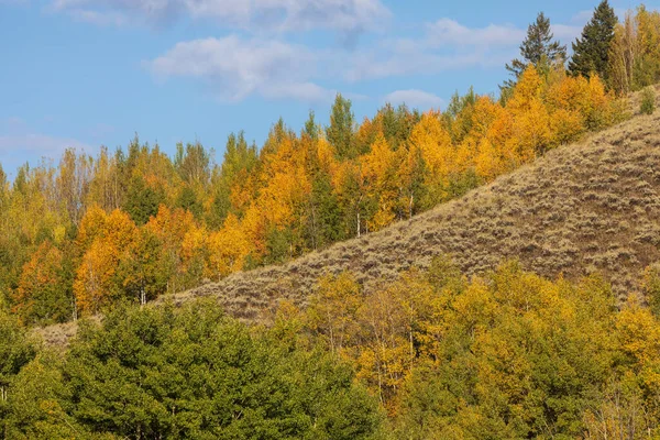 Scenic Landscape Grand Teton National Park Wyoming Autumn — Stock Photo, Image