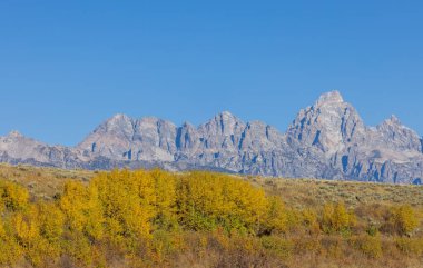 Grand Teton Ulusal Parkı Wyoming 'de sonbaharda manzaralı bir manzara.