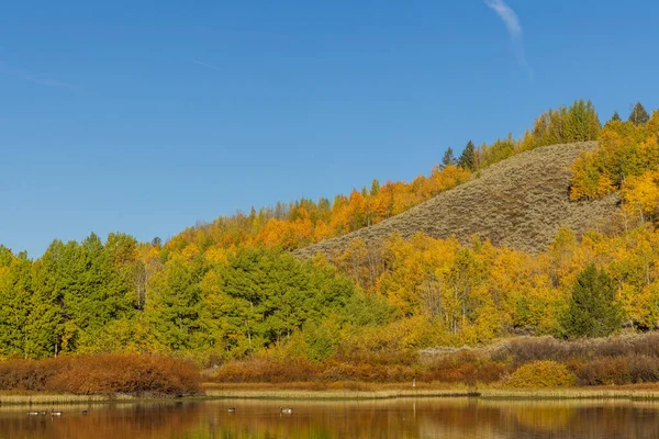 Krajobraz Parku Narodowym Grand Teton Wyoming Jesienią — Zdjęcie stockowe