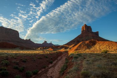 Yazın Utah çöl manzarası