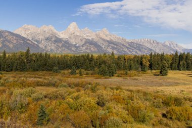 Grand Teton Ulusal Parkı Wyoming 'de sonbaharda manzaralı bir manzara.