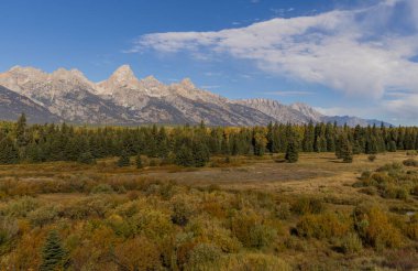Grand Teton Ulusal Parkı Wyoming 'de sonbaharda manzaralı bir manzara.