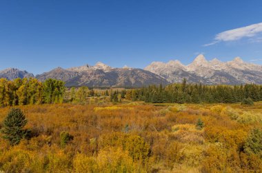 Grand Teton Ulusal Parkı Wyoming 'de sonbaharda manzaralı bir manzara.