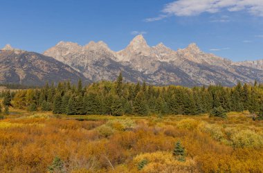 Grand Teton Ulusal Parkı Wyoming 'de sonbaharda manzaralı bir manzara.