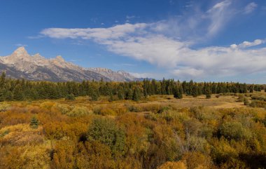 Grand Teton Ulusal Parkı Wyoming 'de sonbaharda manzaralı bir manzara.