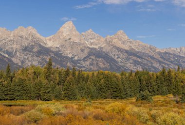 Grand Teton Ulusal Parkı Wyoming 'de sonbaharda manzaralı bir manzara.