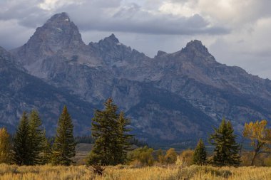 Grand Teton Ulusal Parkı Wyoming 'de sonbaharda manzaralı bir manzara.