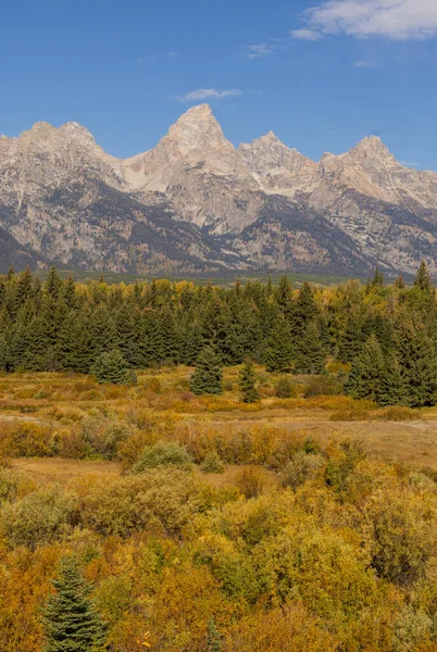 Een Schilderachtig Landschap Grand Teton National Park Wyoming Herfst — Stockfoto