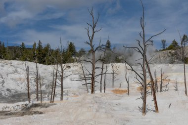 Manzaralı Mamut Kaplıcaları Yellowstone Ulusal Parkı Wyoming 'deki Travertine Terasları