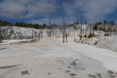 Manzaralı Mamut Kaplıcaları Yellowstone Ulusal Parkı Wyoming 'deki Travertine Terasları