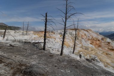 Manzaralı Mamut Kaplıcaları Yellowstone Ulusal Parkı Wyoming 'deki Travertine Terasları
