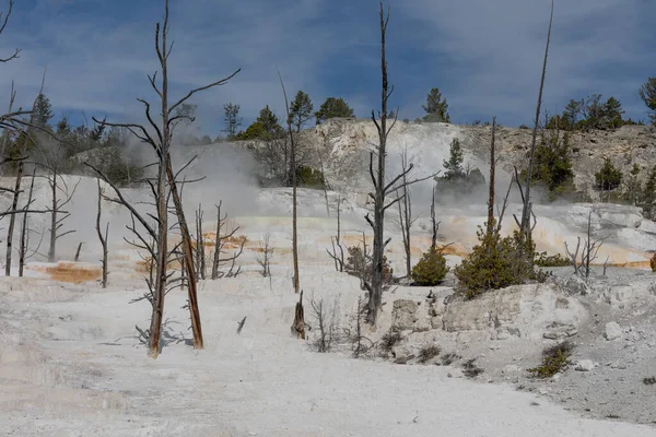 Festői Mamut Hőforrások Travertin Teraszok Táj Yellowstone Nemzeti Park Wyoming — Stock Fotó