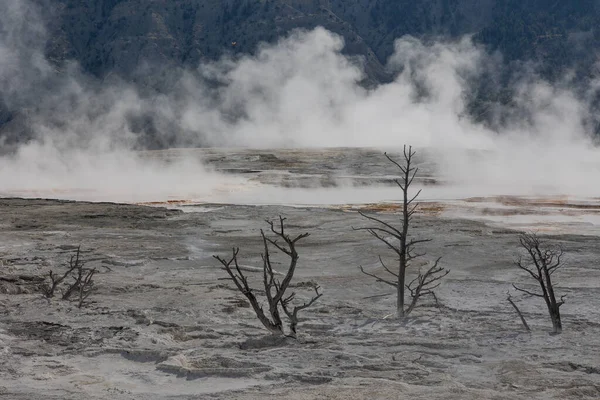 Paisagem Terraços Travertino Nascentes Termais Mamute Cênico Parque Nacional Yellowstone — Fotografia de Stock