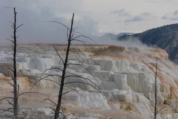 Malownicze Mamut Gorące Źródła Trawertyn Tarasy Krajobraz Yellowstone National Park — Zdjęcie stockowe