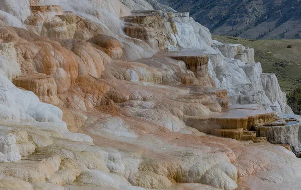 stock image scenic mammoth hot springs travertine terraces landscape in Yellowstone National Park Wyoming