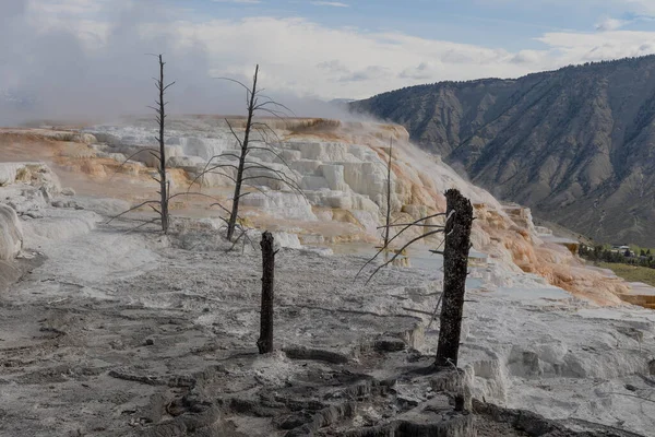 Paisagem Terraços Travertino Nascentes Termais Mamute Cênico Parque Nacional Yellowstone Imagens De Bancos De Imagens Sem Royalties
