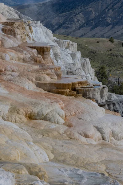 Paisagem Terraços Travertino Nascentes Termais Mamute Cênico Parque Nacional Yellowstone Fotos De Bancos De Imagens